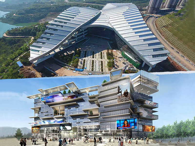 重庆铜梁龙